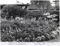 Photo only available in the library